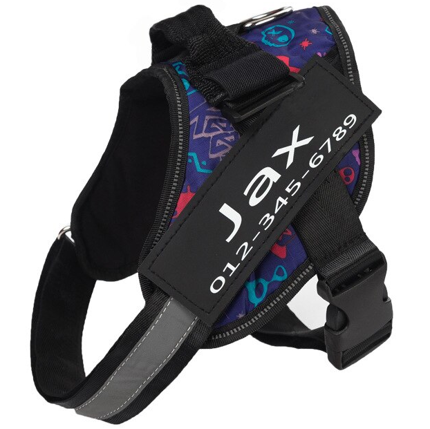 Personalized No-Pull Dog Harness