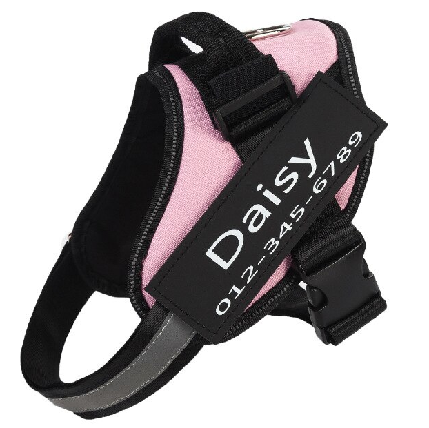 Personalized No-Pull Dog Harness