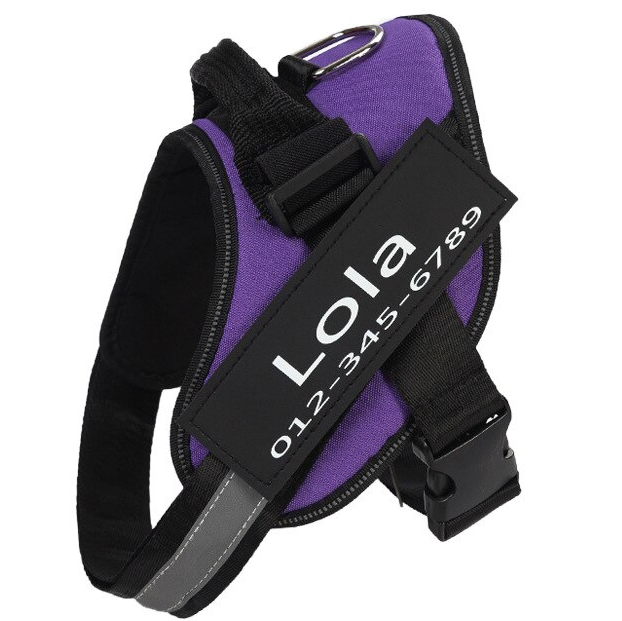 Personalized No-Pull Dog Harness