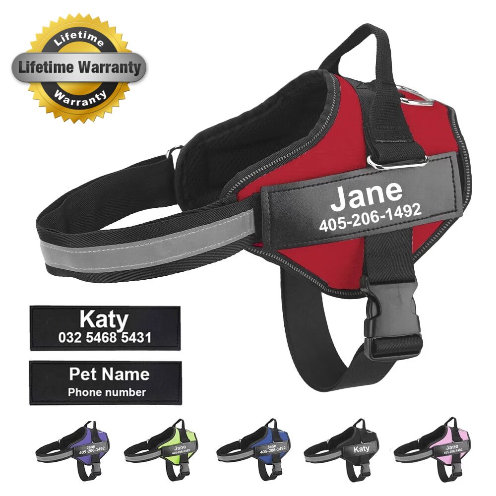 Personalized No-Pull Dog Harness