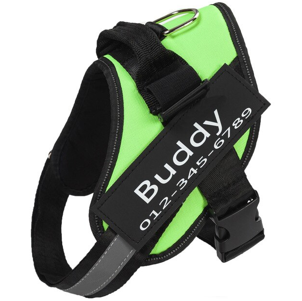 Personalized No-Pull Dog Harness