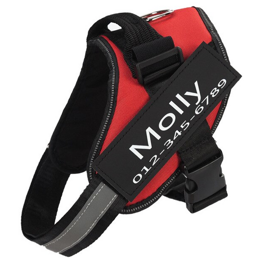 Personalized No-Pull Dog Harness