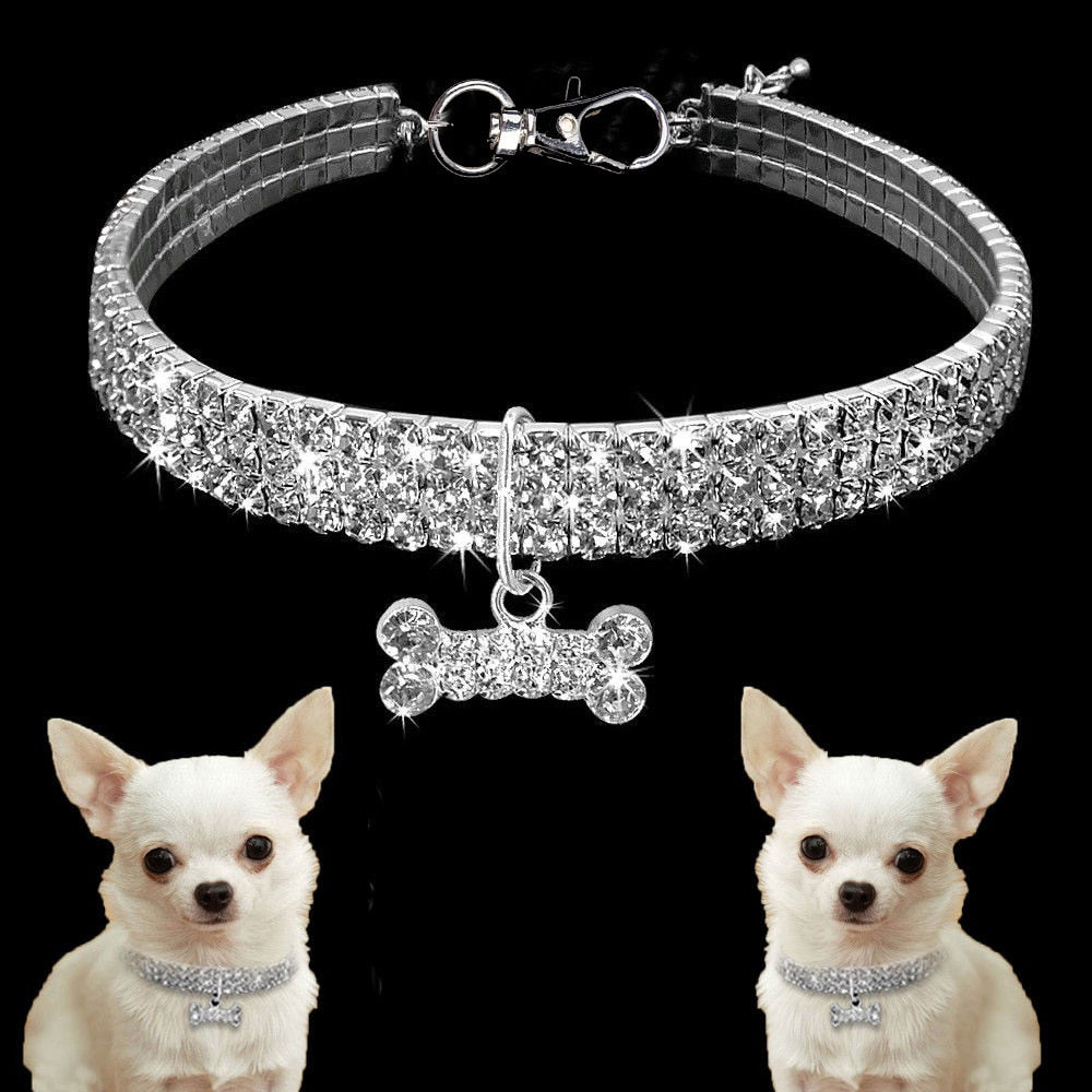 Dog Collar
